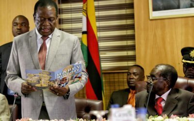¿EL PRINCIPIO DE UN NUEVO ZIMBABUE?
