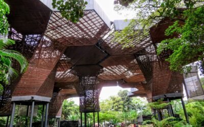 LA DIPLOMACIA DE LAS CIUDADES: EL GRAN CAMBIO DE MEDELLÍN