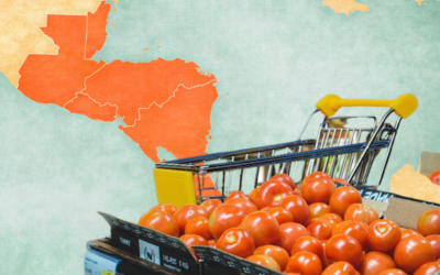 INFLACIÓN  ECONÓMICA Y EFECTOS POLÍTICOS EN CENTROAMÉRICA