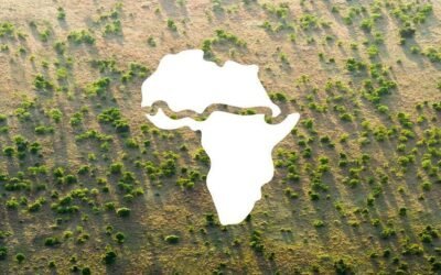 LA GRAN MURALLA VERDE DEL SAHEL