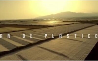 EL OTRO ROSTRO DEL “MAR DE PLÁSTICO”: SUPERVIVENCIA EN LA ALMERÍA AGRÍCOLA; UNA REALIDAD ESTRUCTURAL