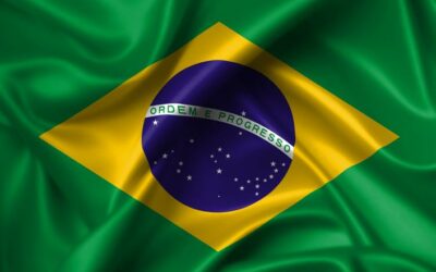 EL REALISMO PERIFÉRICO: El CASO DE BRASIL